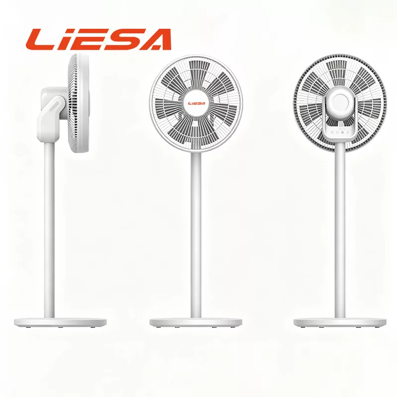 Ventilatore di circolazione oscillante