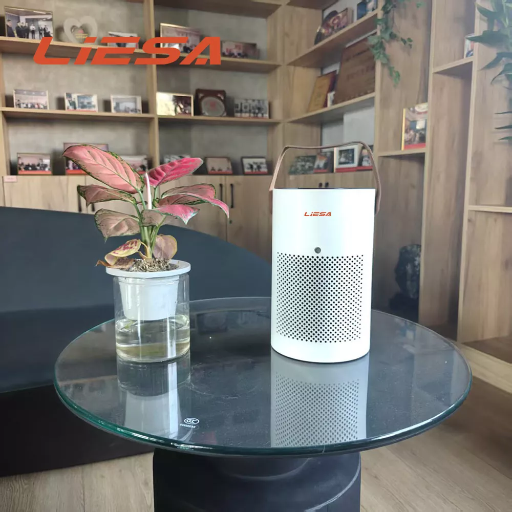 Purificatore con funzione timer